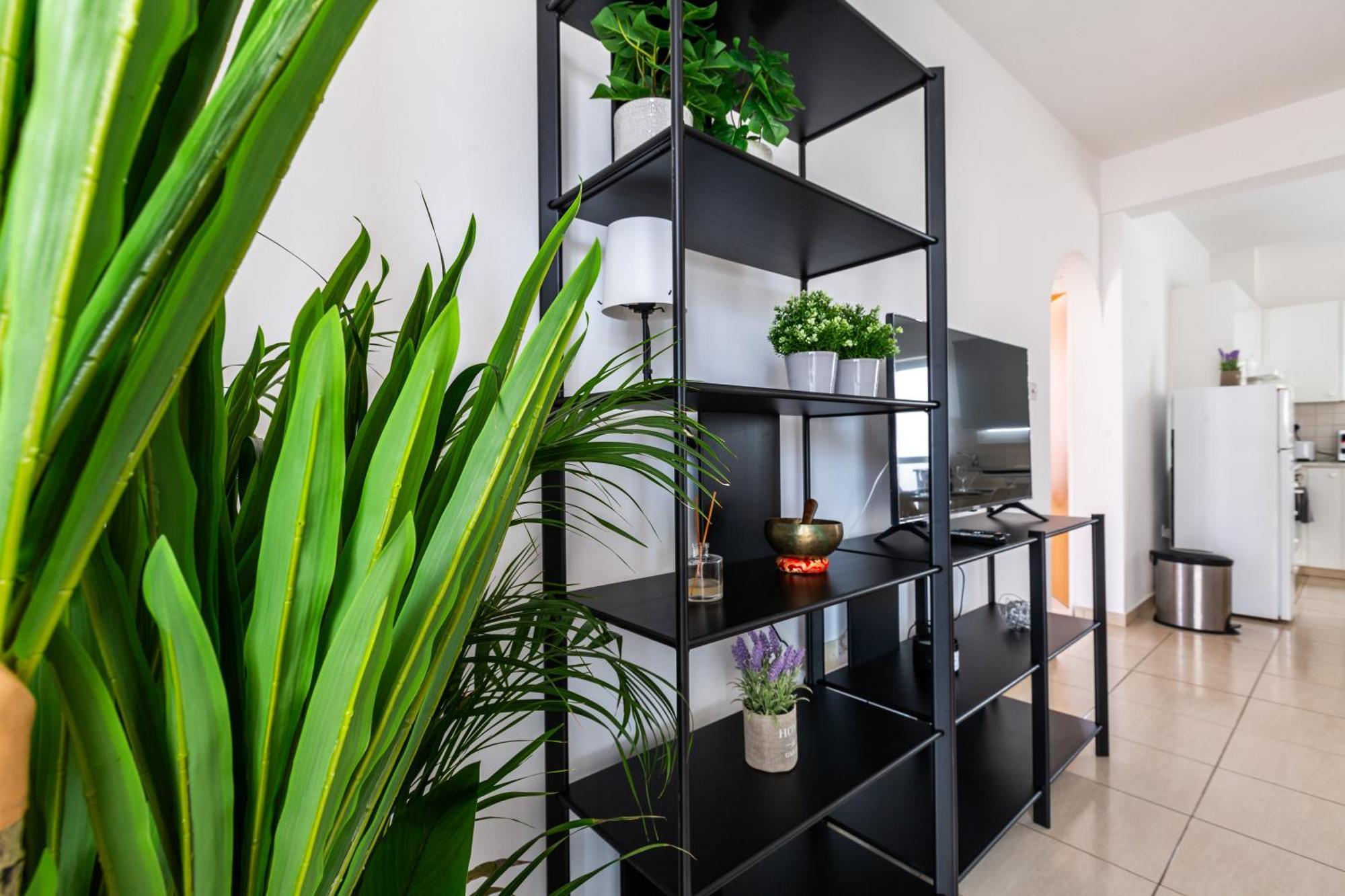 Beautiful 2 Bed Apartment In Paphos Cyprus エクステリア 写真